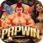 Prpwin Download